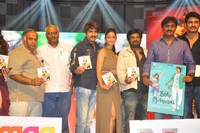 DCM Music Launch Photos